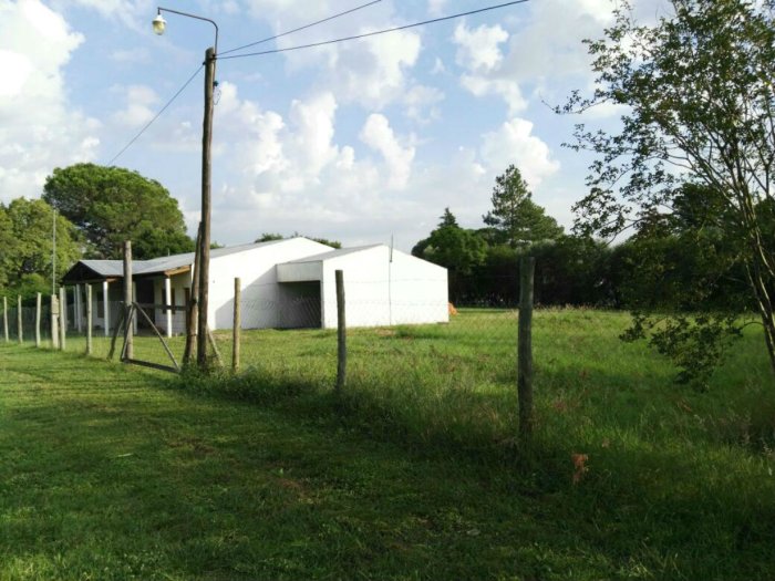 El primer lugar inspeccionado: a la derecha est&aacute; el terreno bald&iacute;o de Diego Sampellegrini (foto: El Entre R&iacute;os).