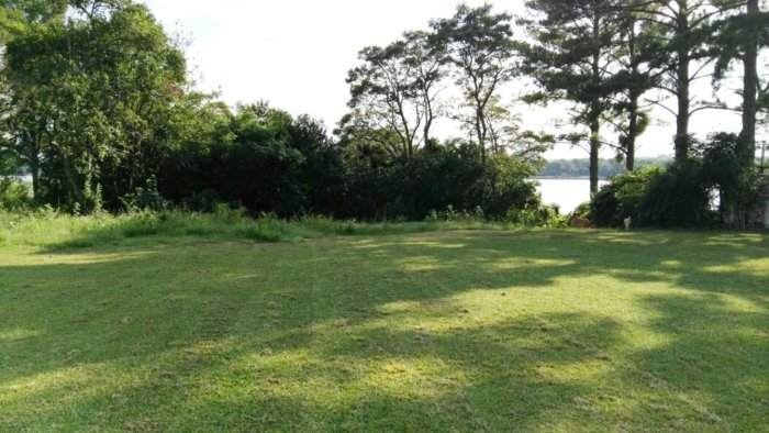 El lote de Irribarren tiene vista al r&iacute;o Uruguay (foto: El Entre R&iacute;os).