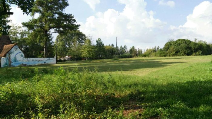 Este es el terreno de Jos&eacute; Irribarren, tambi&eacute;n inspeccionado este jueves (foto: El Entre R&iacute;os).