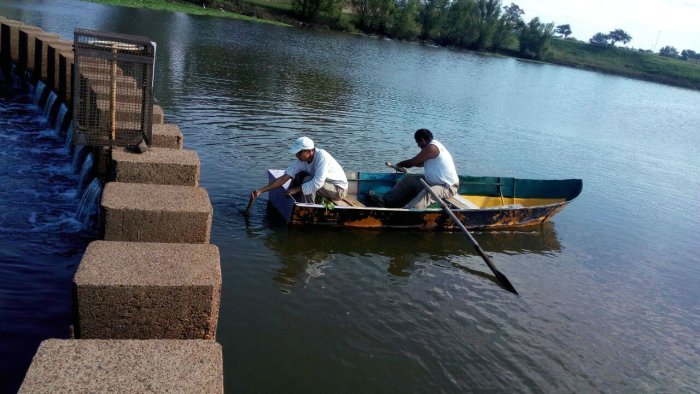 Desde un bote y con una red pasaron al otro lado los peces m&aacute;s grandes.