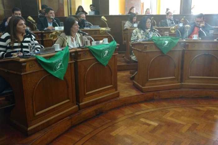 Tres de las concejales sesionaron con el pa&ntilde;uelo verde caracter&iacute;stico del pedido por aborto legal