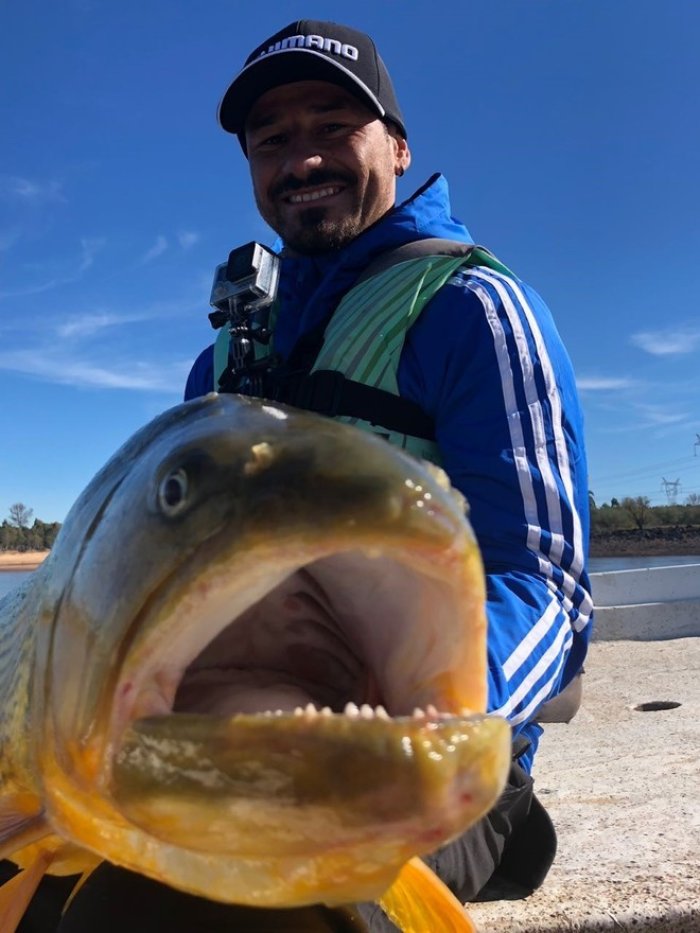 13 kilos pesa el dorado que pesc&oacute; el futbolista, en el r&iacute;o Uruguay (foto Nuria Gilabert).