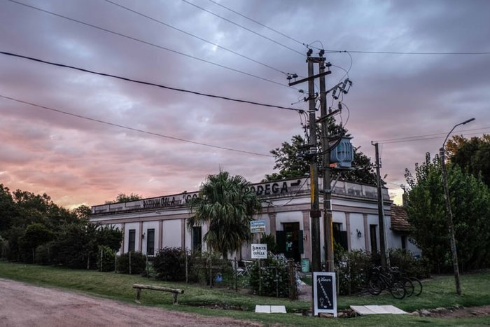 Una bodega de la zona