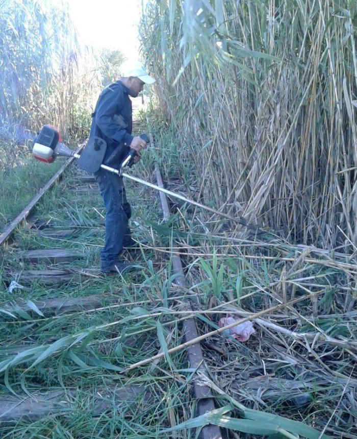Desmalezadoras en mano, los socios de los ferroclubes limpian las zonas por donde pasan las v&iacute;as.