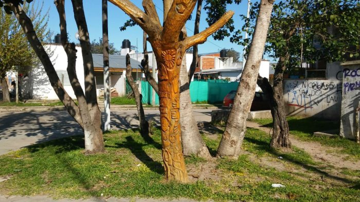 el &aacute;rbol tallado hace dos a&ntilde;os permanece intacto en una esquina