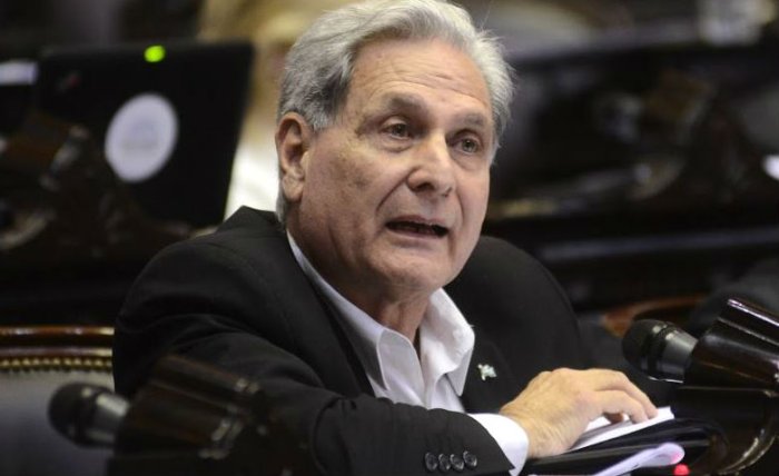 Solanas expuso su propuesta en la reuni&oacute;n conjunta de dos comisiones de la C&aacute;mara Baja nacional.