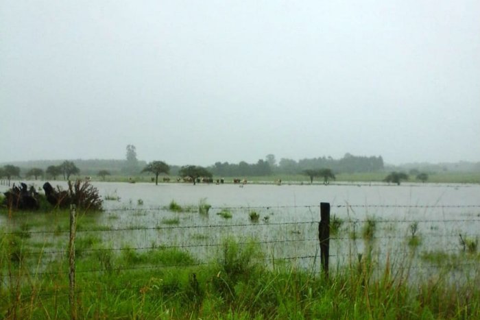 Algunos campos y caminos de la Colonia San Jos&eacute; quedaron desbordados de agua.