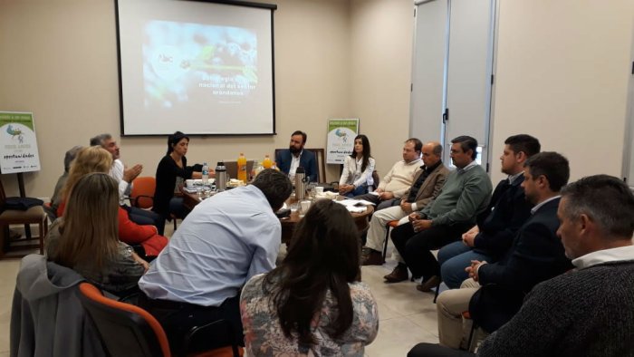 La reuni&oacute;n se realiz&oacute; en Concordia, ciudad clave para la siembra y cosecha de ar&aacute;ndanos en Argentina.