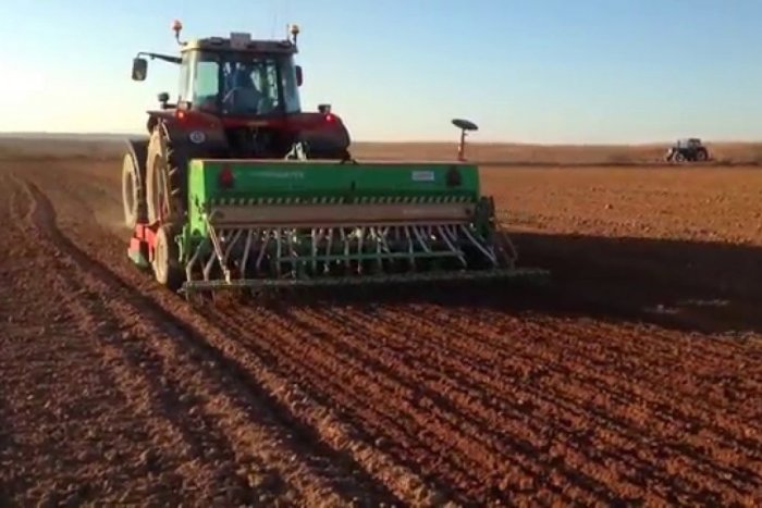 Se implant&oacute; casi la totalidad del &aacute;rea planificada de trigo en Entre R&iacute;os.