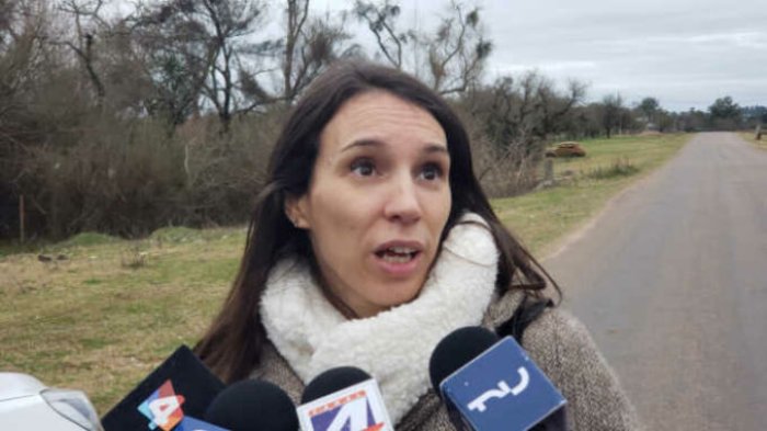 La fiscal Mart&iacute;nez revel&oacute; detalles del modo en que fue ejecutado "el Pichulo".