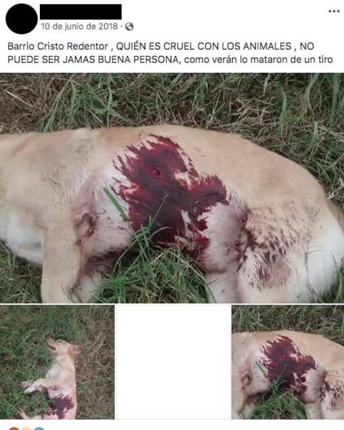 La publicaci&oacute;n real