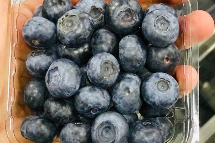 La empresa produce anualmente 2 millones de kilos de ar&aacute;ndanos