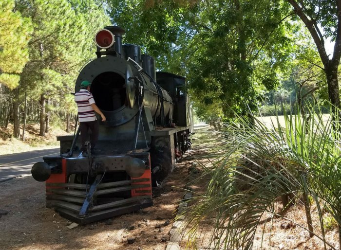 La m&aacute;quina es un s&iacute;mbolo del paso del tren por la Mesopotamia argentina.