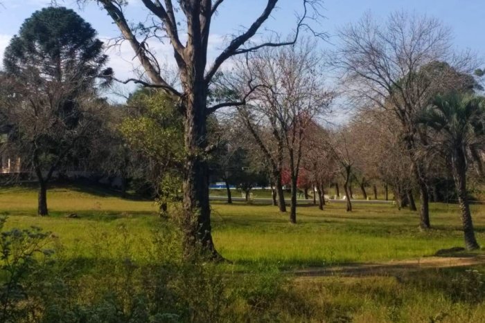 El amplio predio que tiene el Club, en un costado de la ruta que conduce a zona de termas y el lago de Salto Grande.