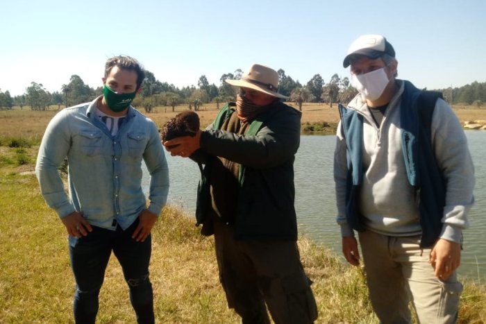 El animal qued&oacute; en una estancia