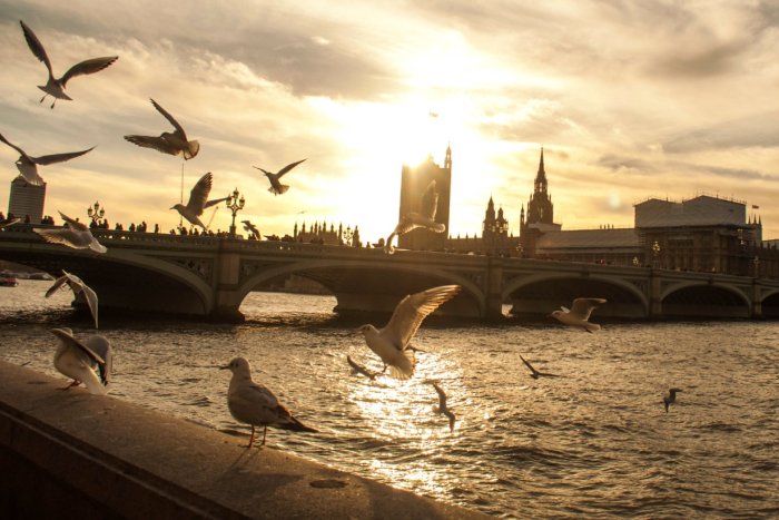 Londres, otra de la ciudades europeas que cautiv&oacute; a la joven de Chajar&iacute;.
