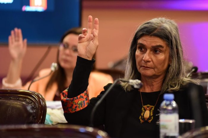 "Tanto a nivel educativo como laboral, la virtualidad lleg&oacute; para quedarse", dice la diputada provincial.