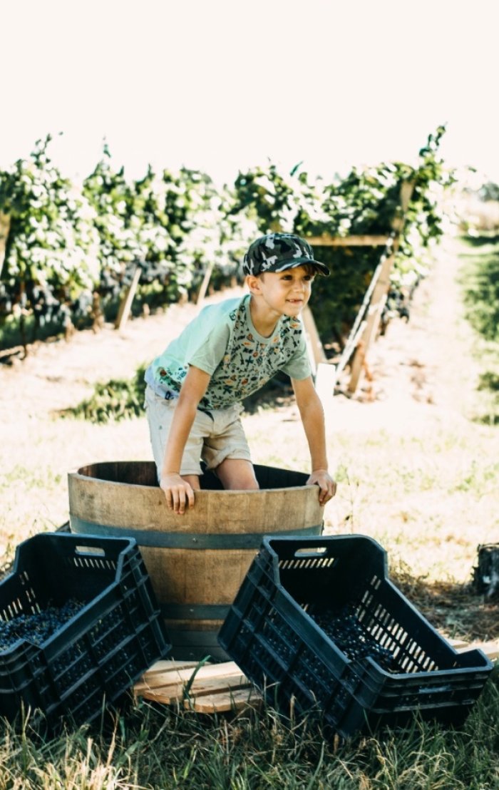 Una de las atractivos para los m&aacute;s chicos: la pisada de uvas.
