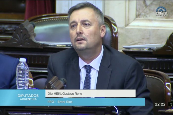 Diputado Nacional por Entre R&iacute;os, Gustavo Hein.