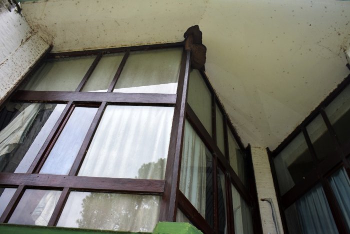 As&iacute; se ven uno de los laterales del edificio ubicado a pasos de Termas del Ayu&iacute;.