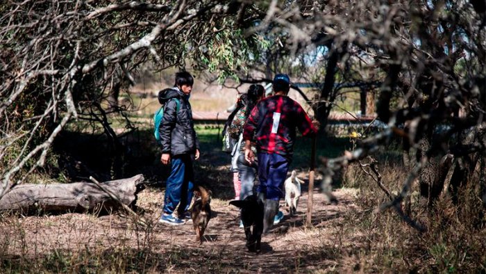 Los alumnos sol&iacute;an llegar embarcados, pero ahora caminan, o van a caballo. (Foto: La Naci&oacute;n)