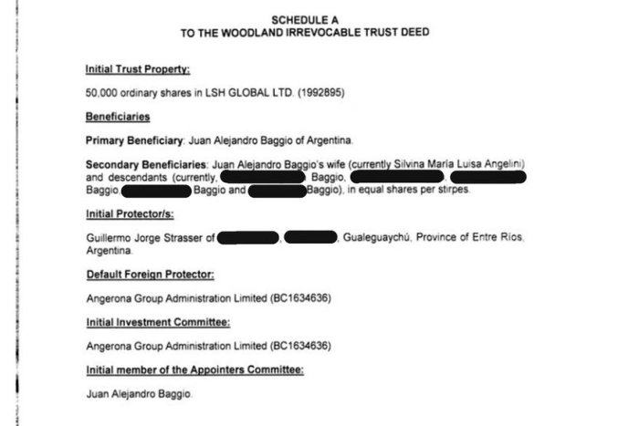 Detr&aacute;s de LSH Global Ltd, que tiene a Celia Munilla como beneficiaria final, aparece otra empresa, Woodland Assets LLC, en la que Juan Alejandro Baggio aparece como su beneficiario principal y a su esposa y a sus cinco hijos como secundarios