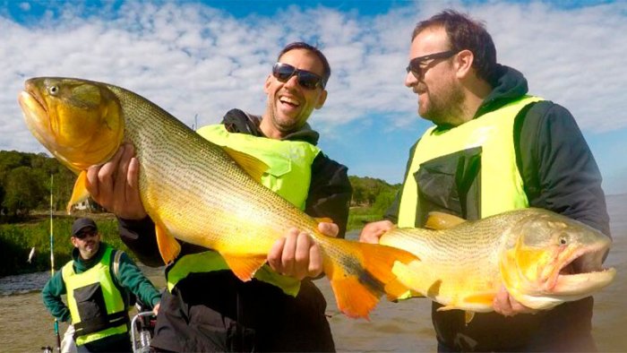 Pescan dorados de gran porte en Entre R&iacute;os