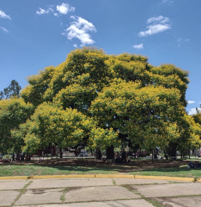 Otra fotograf&iacute;a desde Col&oacute;n.