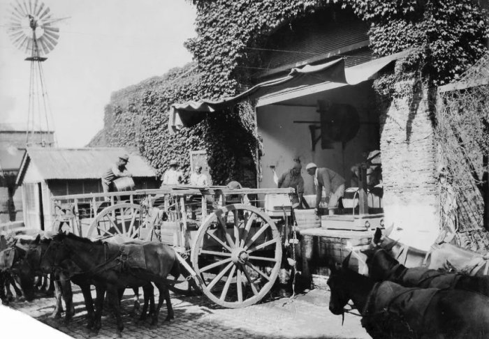Antiguo frente de Bodega Robinson