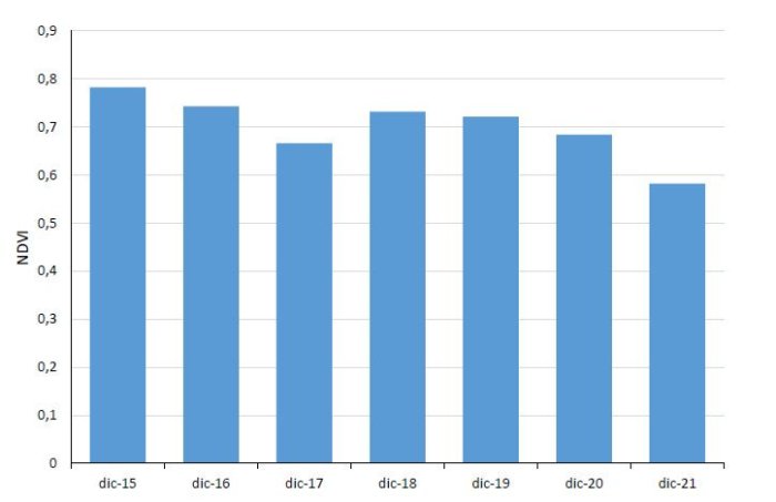 Valores medios del &Iacute;ndice Normalizado de Vegetaci&oacute;n (NDVI) del mes de diciembre desde 2015 a 2021 en la EEA INTA Concordia. Fuente: elaboraci&oacute;n propia a partir de im&aacute;genes satelitales Sentinel-2