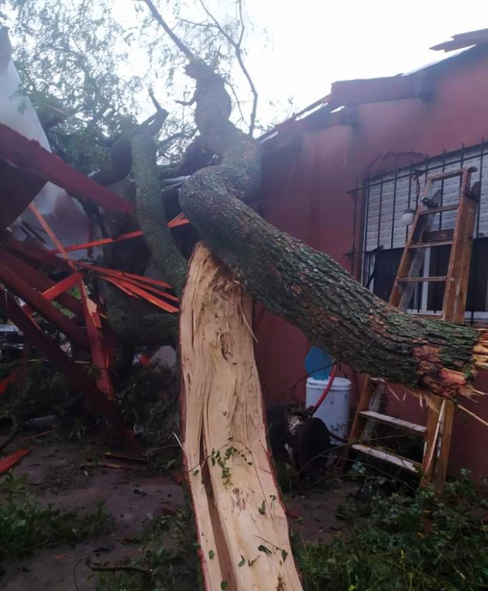 Evidentes da&ntilde;os en Colonia Nueva, al sur, en el Departamento Col&oacute;n.