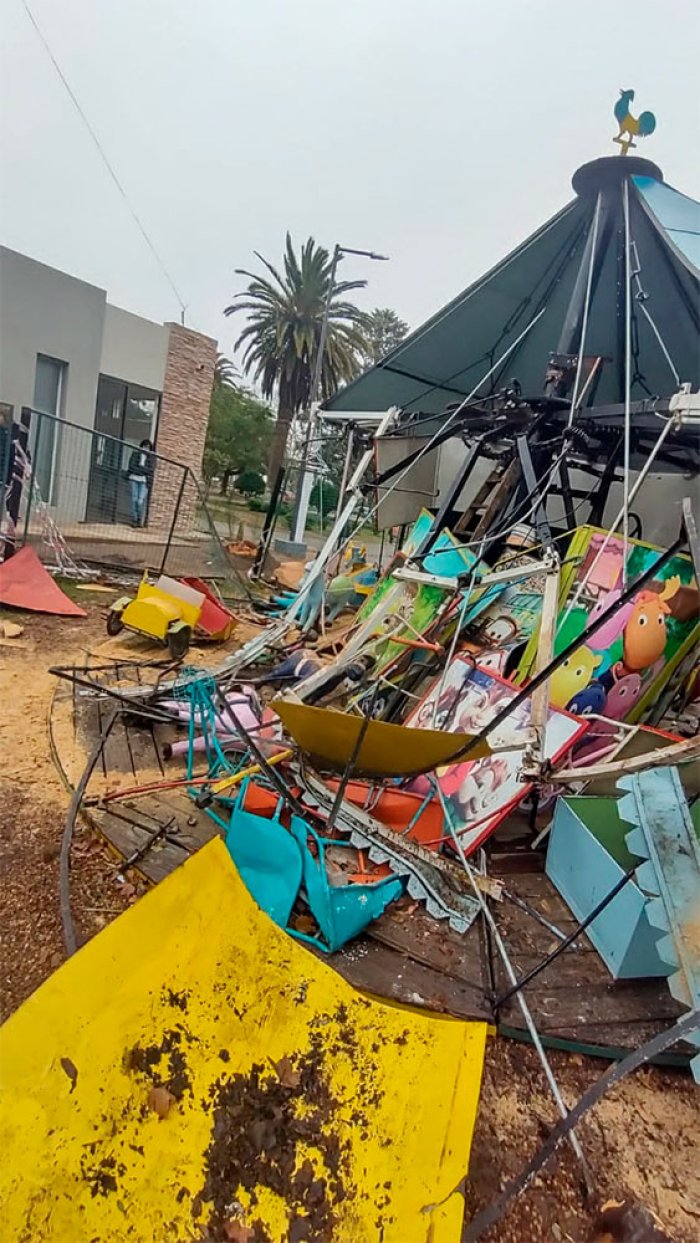 Lo que qued&oacute; tras quitar la palmera