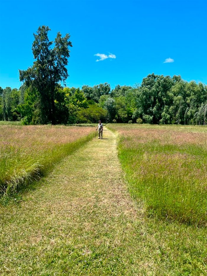 Don Ricardo, en contacto directa con sus amados &aacute;rboles y la naturaleza