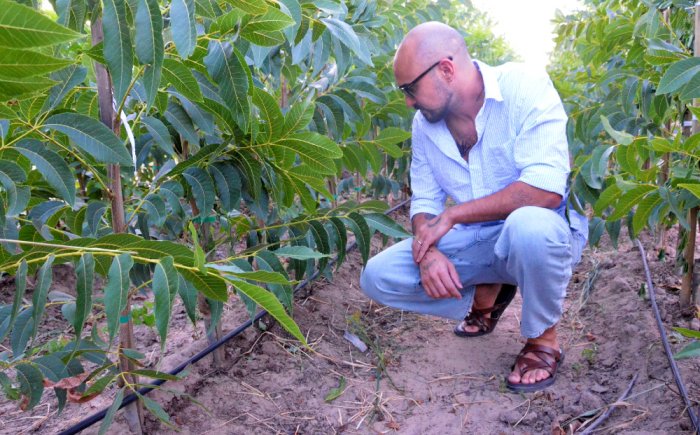 Una de las cosas que observ&oacute; con atenci&oacute;n fue el sistema de riego empleado (foto: El Entre R&iacute;os)