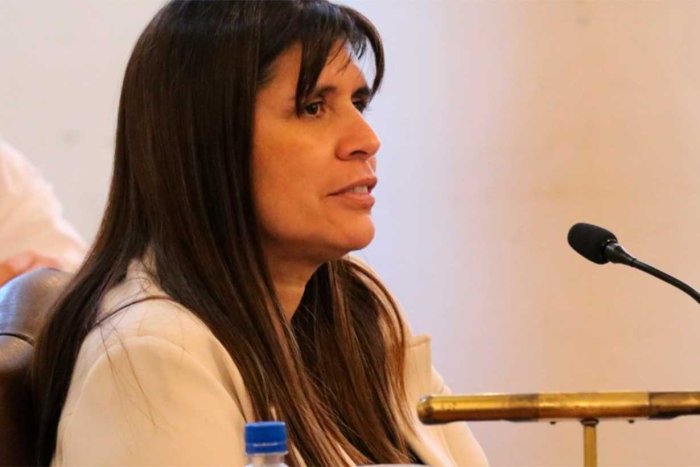 Concejal Claudia Acevedo