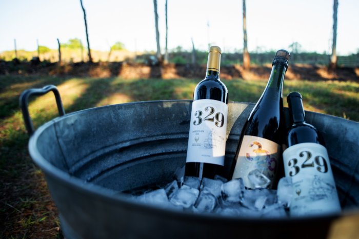 Las distintas variedades de los vinos elaborados con uvas de la finca concordiense (foto: Oscar Challiol).