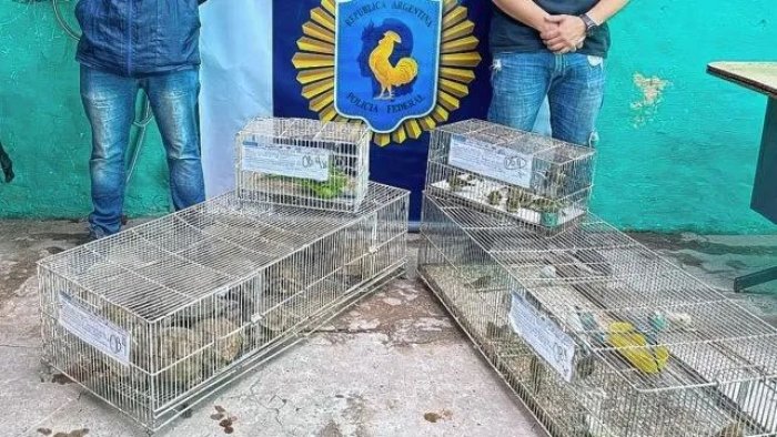 Personal policial trasladar&aacute; las especies a diferentes centros de rescate.