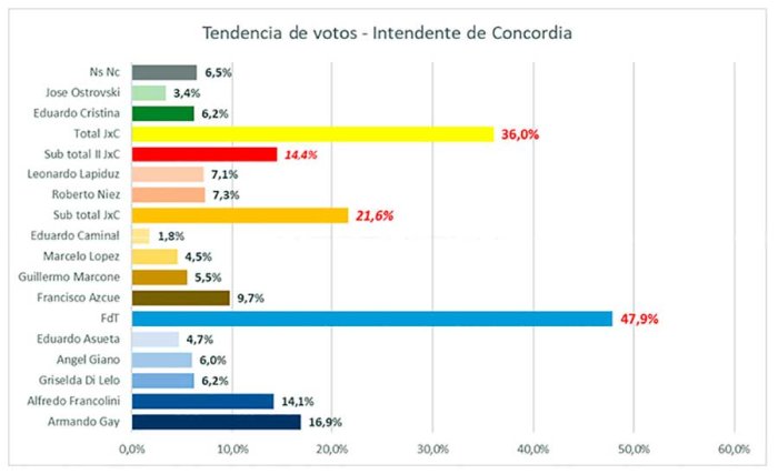 Los 13 precandidatos a intendente medidos por DM