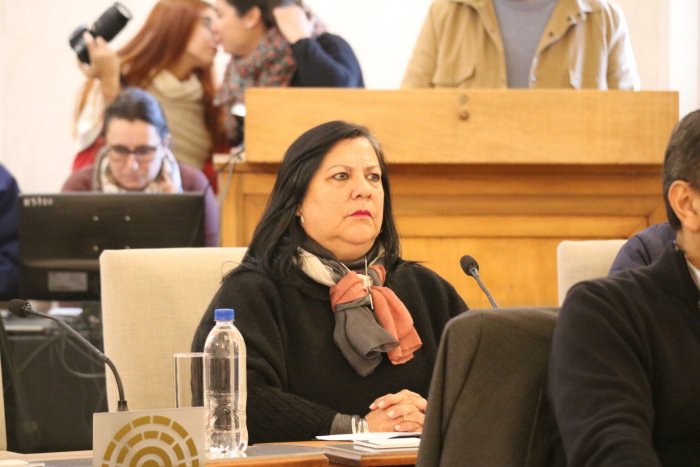 La ahora presidenta del Concejo, Susana Far&iacute;as (PJ).