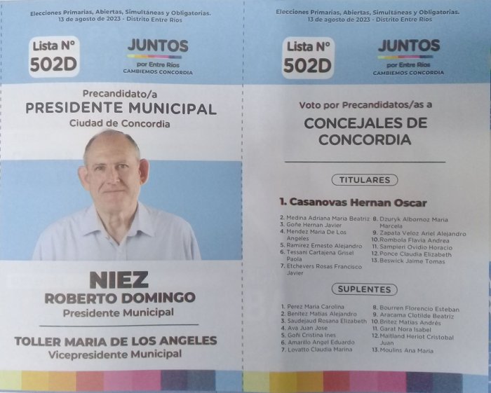 Lista 502: Juntos por Entre R&iacute;os - Roberto Domingo Niez.