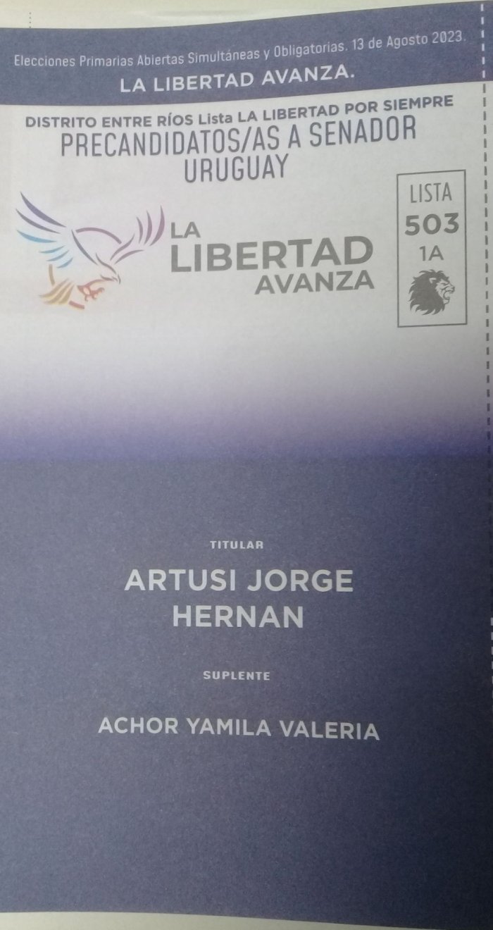Lista 503, La Libertad Avanza, encabezada por Jorge Hern&aacute;n Artusi.