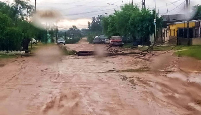 Una calle bloqueada tras el temporal en esta fotograf&iacute;a tomada luego de las 8 de este mi&eacute;rcoles.