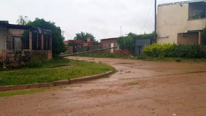 Al menos 60 postes cayeron por el temporal de este martes. Foto en barrio Villa Jard&iacute;n.
