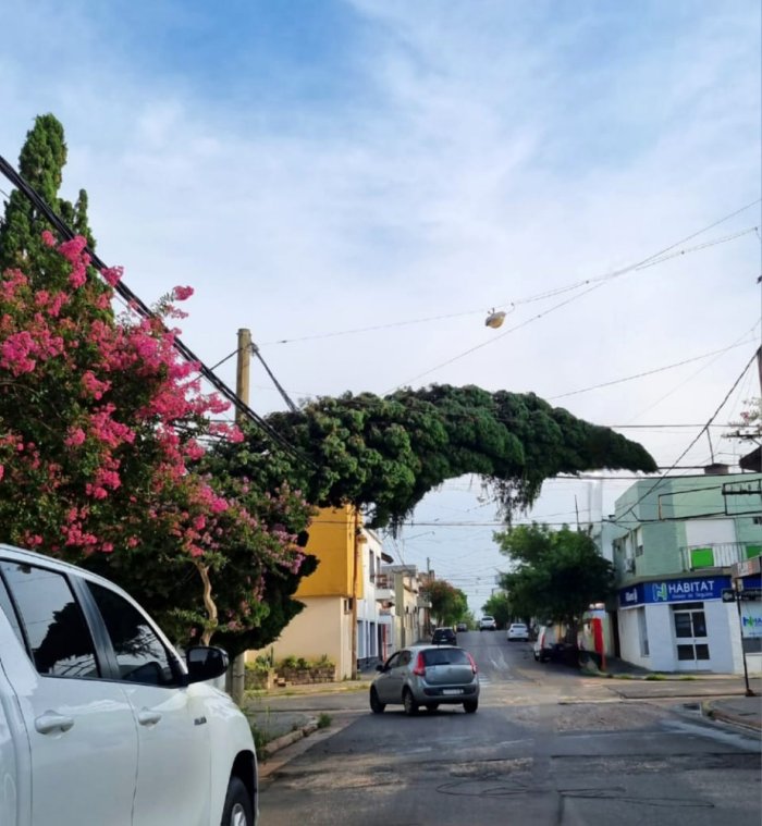 La fotograf&iacute;a tomada en las primeras horas de este viernes.