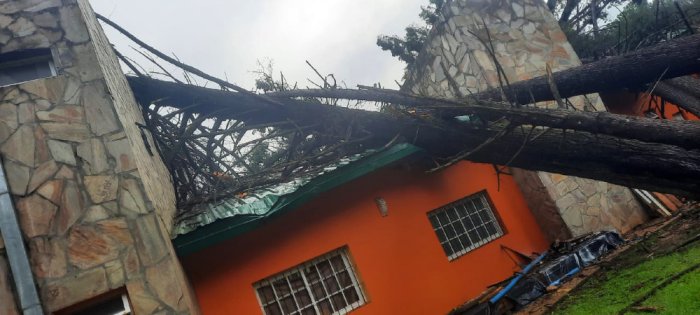 Otra vista sobre los da&ntilde;os provocados por el temporal.