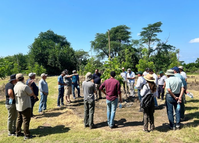 La Jornadita a campo se realizar&aacute; el 20 de marzo.