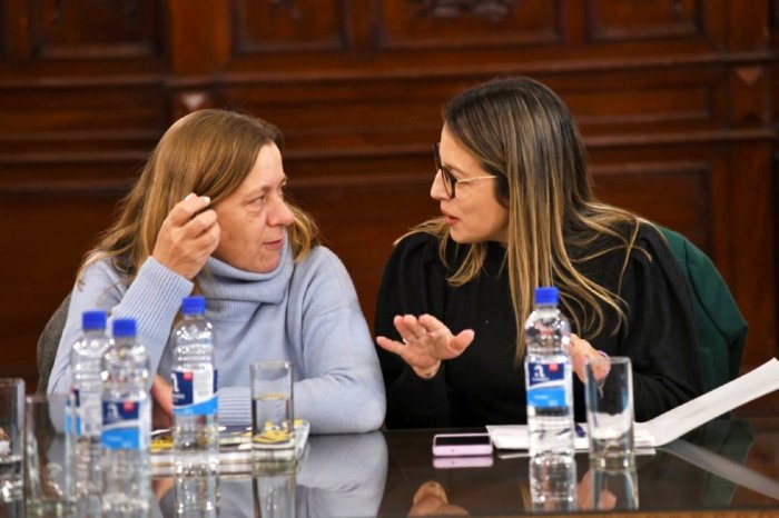 La ministra Ver&oacute;nica Berisso form&oacute; parte de la reuni&oacute;n de comisi&oacute;n de Desarrollo Social.