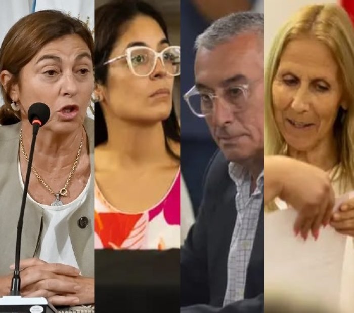 Alicia Fregonese, Carla Soledad Dur&eacute;, Santiago Sergio Adolfo Laumann y Elsa Chapuis.