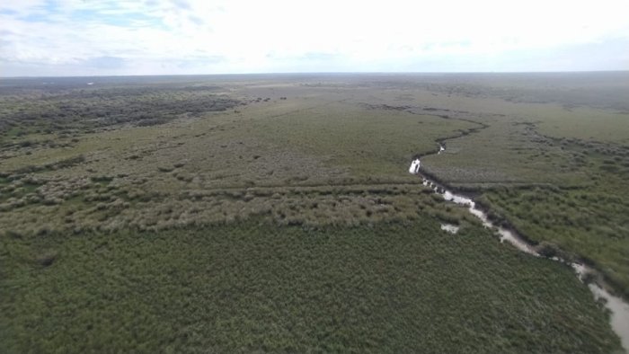 Zona de b&uacute;squeda de Fabiani.