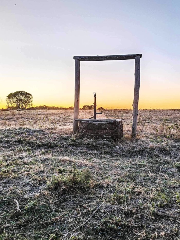 Una postal de la helada en tierras sanduceras (foto: Karina Guich&oacute;n).